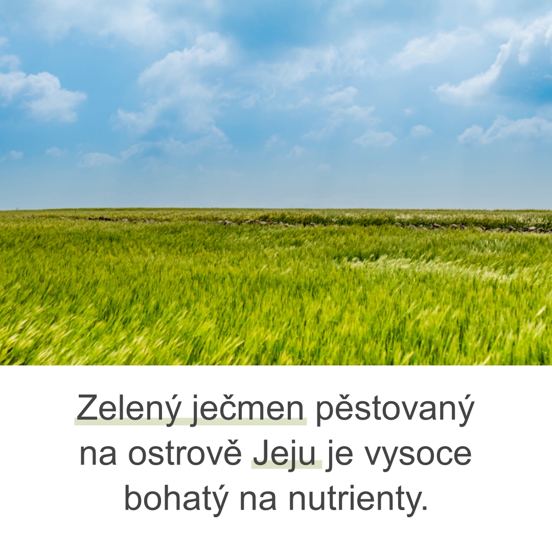 (cz)2.1 Ingredients_Green Barely_toner pad_2024.07.23 1157